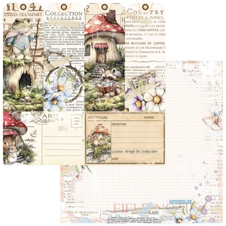 49 And Market LOOKING GLASS CARDSTOCK - Collector of Echos - 12x12
LG-34929