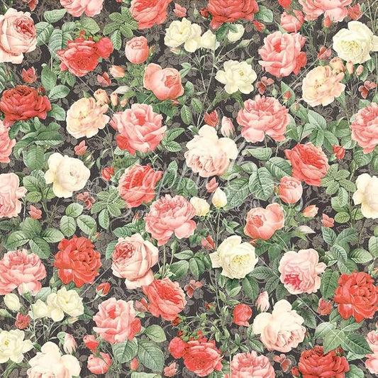 Graphic 45 Curiouser & Curiouser Rub-On Transfer Set