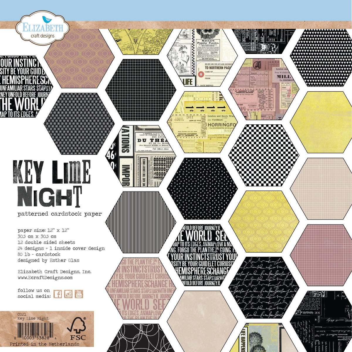 Elizabeth Craft Designs - Lost in the Woods Collection - 12 x 12 Paper Pack - Key Lime Night
