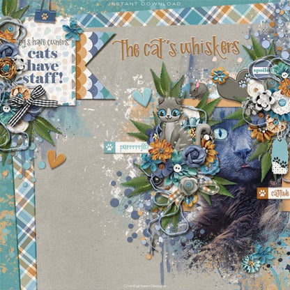 SSC Wholesale - Cat Lover 12 x 12 Scrapbook Paper & Embellishment Kit by SSC Designs - 3 Kits