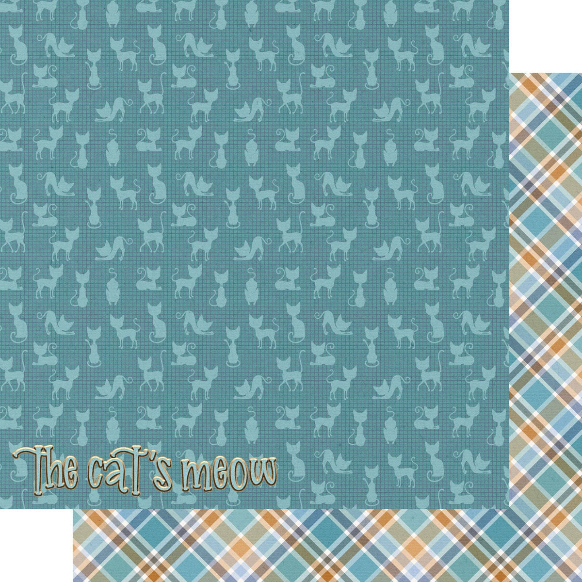 SSC Wholesale - Cat Lover 12 x 12 Scrapbook Paper & Embellishment Kit by SSC Designs - 3 Kits