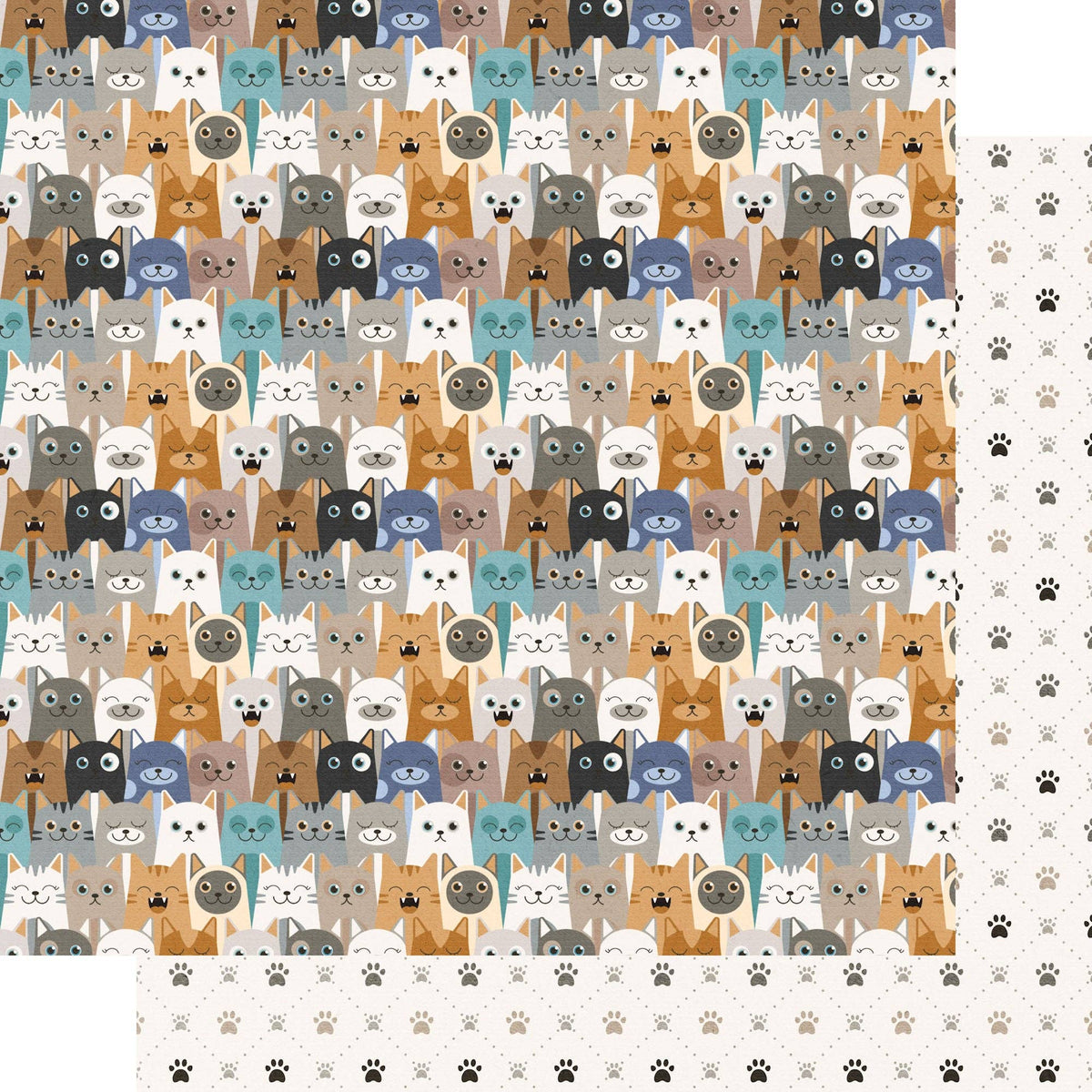SSC Wholesale - Cat Lover 12 x 12 Scrapbook Paper & Embellishment Kit by SSC Designs - 3 Kits