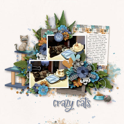 SSC Wholesale - Cat Lover 12 x 12 Scrapbook Paper & Embellishment Kit by SSC Designs - 3 Kits