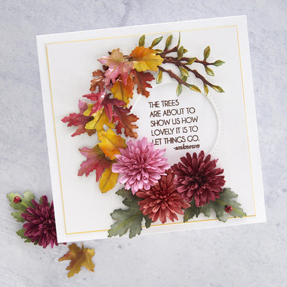 Spellbinders Foliage and Ladybugs Die Cuts S41079