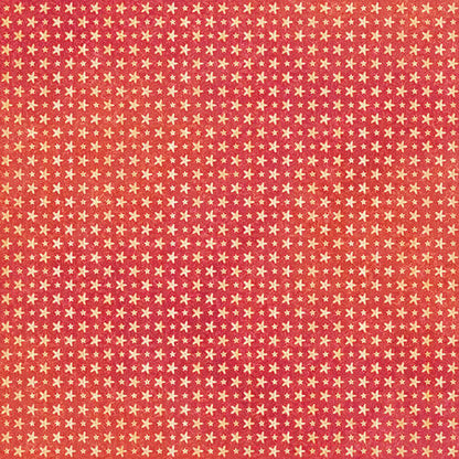 Graphic 45 Seas The Day Coral Red Pattern & Solid Sheet