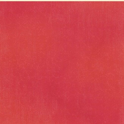 Graphic 45 Seas The Day Coral Red Pattern & Solid Sheet