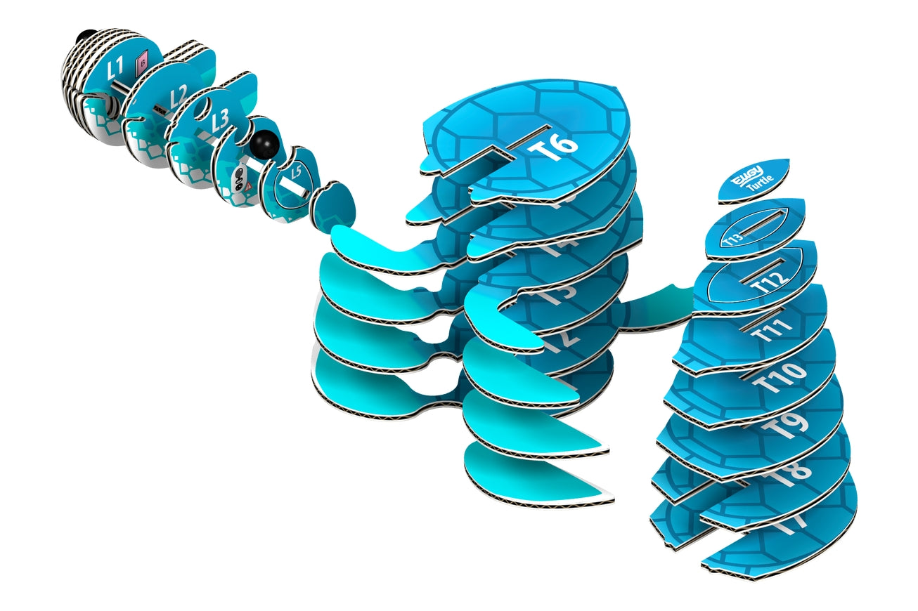 Safari Ltd. - EUGY Turtle 3D Puzzle